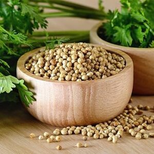 Semi di Coriandolo Bio - immagine 2