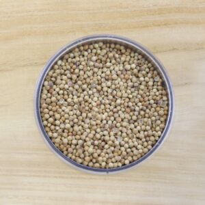 Semi di Coriandolo Bio - immagine 1