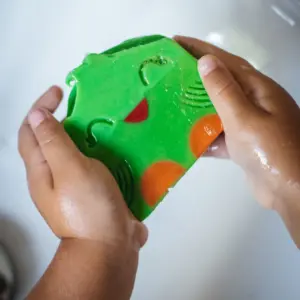 My Happy Parrot (Box Edition) - immagine 4